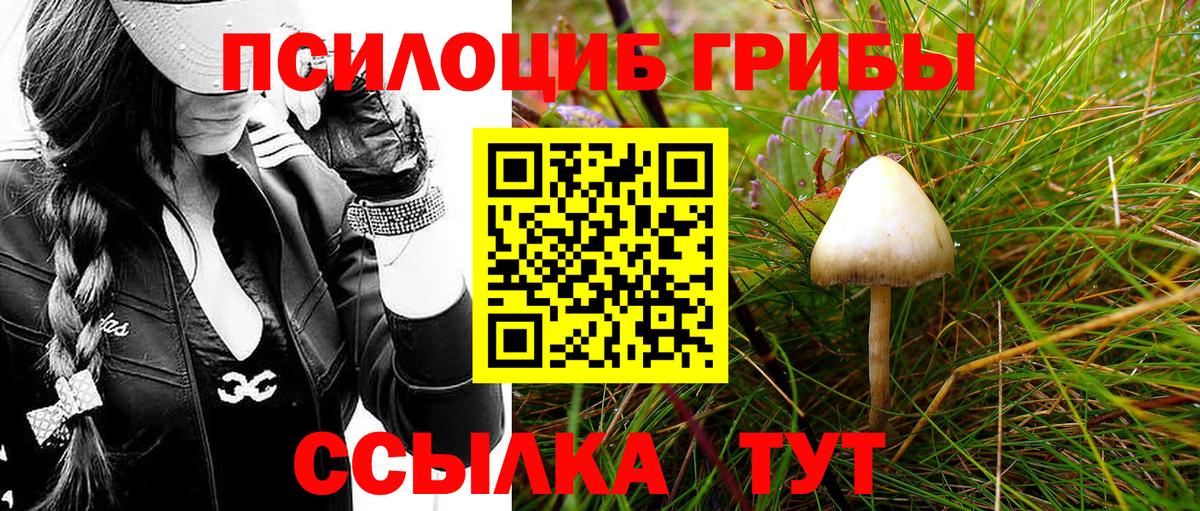Топки  Галлюциногенные грибы Psilocybe  Вход с VPN 